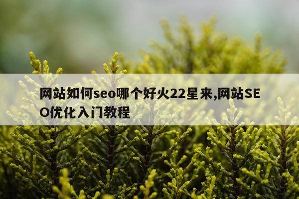 网站如何seo哪个好火22星来,网站SEO优化入门教程