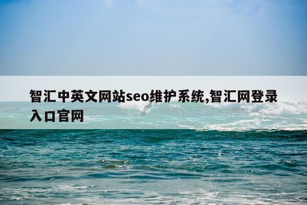 智汇中英文网站seo维护系统,智汇网登录入口官网