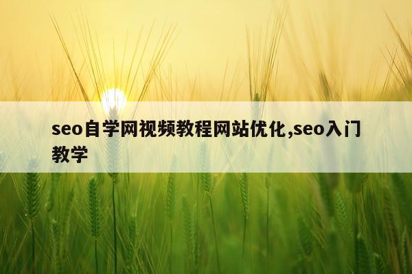 seo自学网视频教程网站优化,seo入门教学
