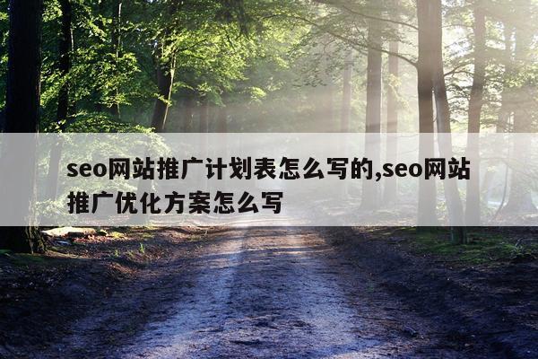 seo网站推广计划表怎么写的,seo网站推广优化方案怎么写