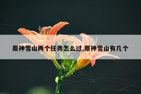 原神雪山两个任务怎么过,原神雪山有几个