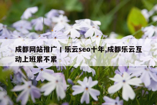 成都网站推广丨乐云seo十年,成都乐云互动上班累不累