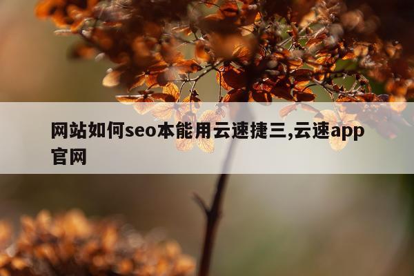 网站如何seo本能用云速捷三,云速app官网