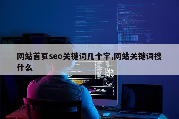 网站首页seo关键词几个字,网站关键词搜什么