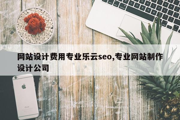 网站设计费用专业乐云seo,专业网站制作设计公司
