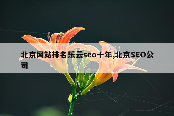 北京网站排名乐云seo十年,北京SEO公司