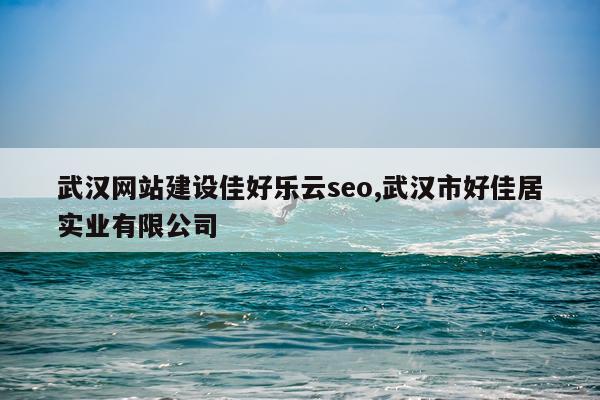 武汉网站建设佳好乐云seo,武汉市好佳居实业有限公司