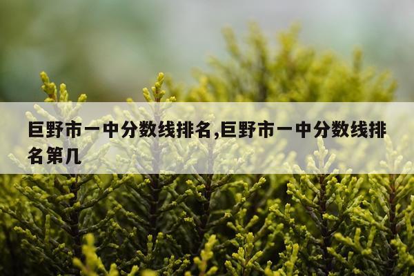 巨野市一中分数线排名,巨野市一中分数线排名第几