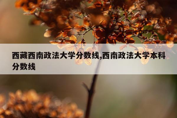 西藏西南政法大学分数线,西南政法大学本科分数线