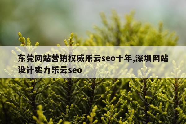 东莞网站营销权威乐云seo十年,深圳网站设计实力乐云seo