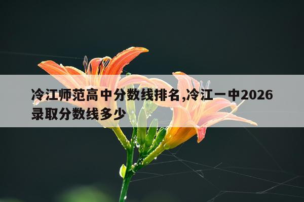 冷江师范高中分数线排名,冷江一中2026录取分数线多少