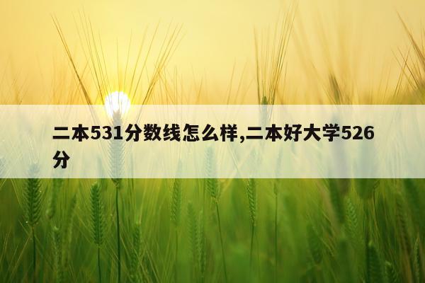 二本531分数线怎么样,二本好大学526分