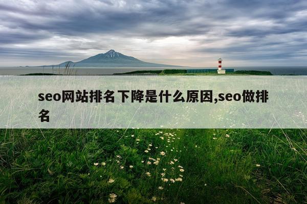 seo网站排名下降是什么原因,seo做排名