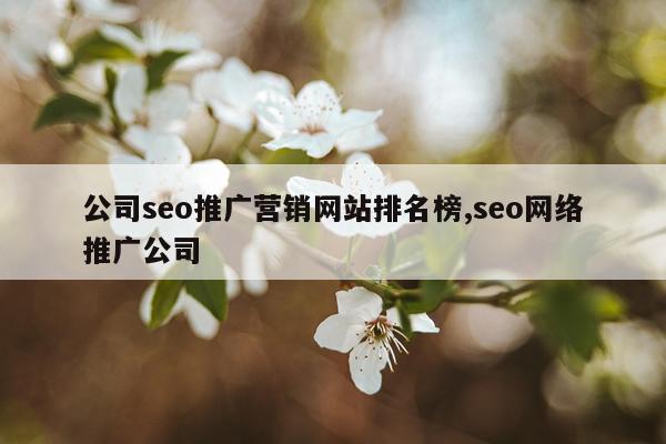 公司seo推广营销网站排名榜,seo网络推广公司