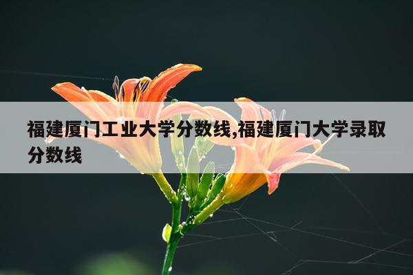 福建厦门工业大学分数线,福建厦门大学录取分数线