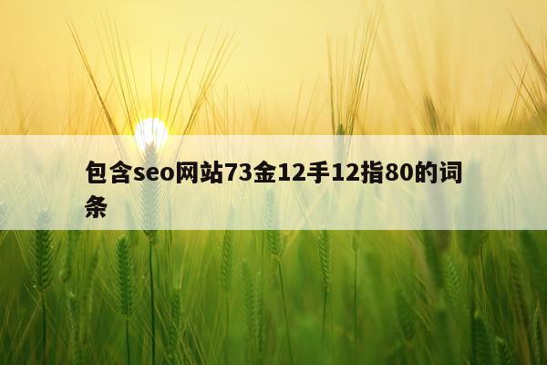 包含seo网站73金12手12指80的词条