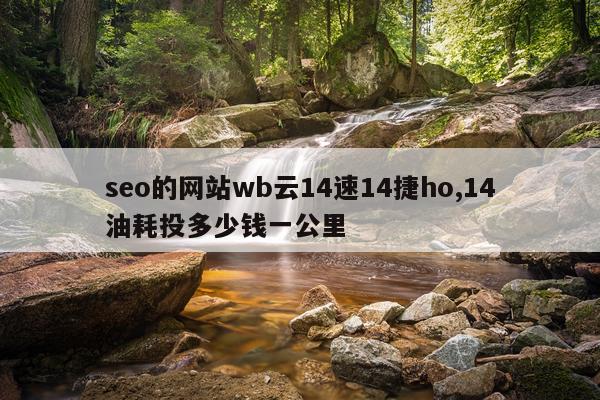 seo的网站wb云14速14捷ho,14油耗投多少钱一公里