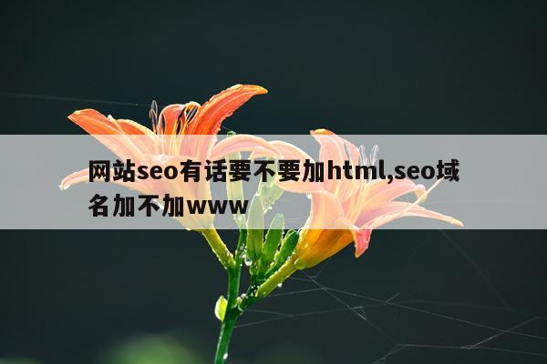 网站seo有话要不要加html,seo域名加不加www