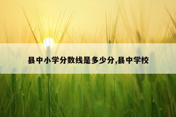 县中小学分数线是多少分,县中学校