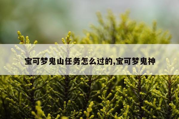宝可梦鬼山任务怎么过的,宝可梦鬼神