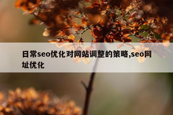 日常seo优化对网站调整的策略,seo网址优化