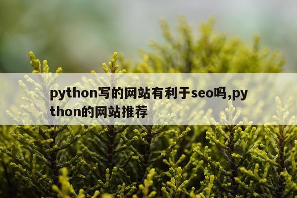 python写的网站有利于seo吗,python的网站推荐