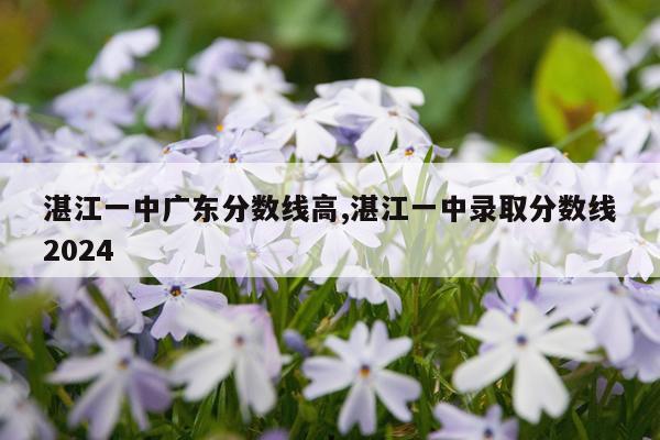 湛江一中广东分数线高,湛江一中录取分数线2024