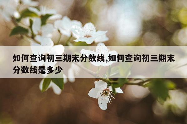 如何查询初三期末分数线,如何查询初三期末分数线是多少