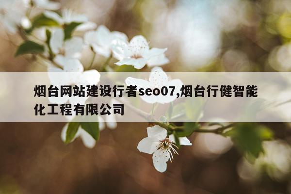 烟台网站建设行者seo07,烟台行健智能化工程有限公司