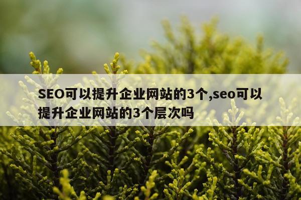 SEO可以提升企业网站的3个,seo可以提升企业网站的3个层次吗