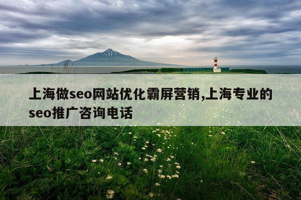 上海做seo网站优化霸屏营销,上海专业的seo推广咨询电话