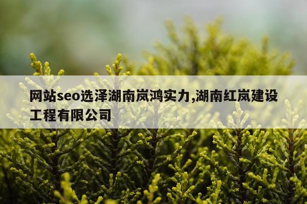 网站seo选泽湖南岚鸿实力,湖南红岚建设工程有限公司
