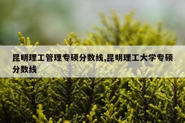 昆明理工管理专硕分数线,昆明理工大学专硕分数线