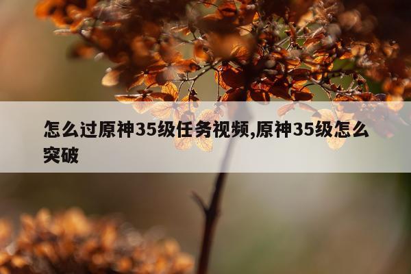 怎么过原神35级任务视频,原神35级怎么突破