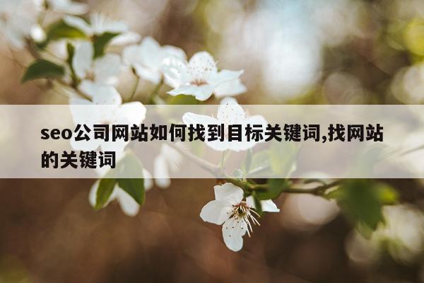 seo公司网站如何找到目标关键词,找网站的关键词