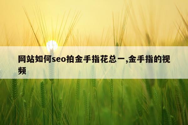 网站如何seo拍金手指花总一,金手指的视频