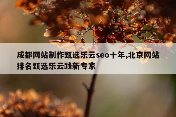 成都网站制作甄选乐云seo十年,北京网站排名甄选乐云践新专家