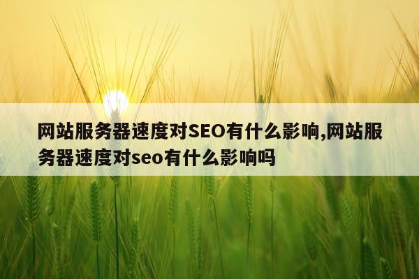 网站服务器速度对SEO有什么影响,网站服务器速度对seo有什么影响吗