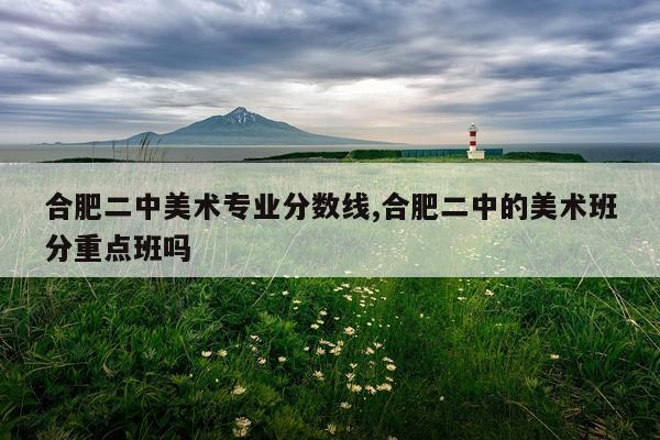 合肥二中美术专业分数线,合肥二中的美术班分重点班吗