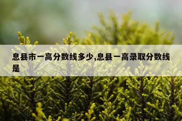 息县市一高分数线多少,息县一高录取分数线是