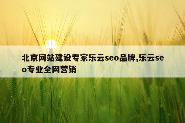 北京网站建设专家乐云seo品牌,乐云seo专业全网营销