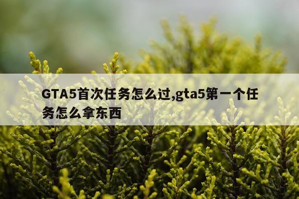GTA5首次任务怎么过,gta5第一个任务怎么拿东西