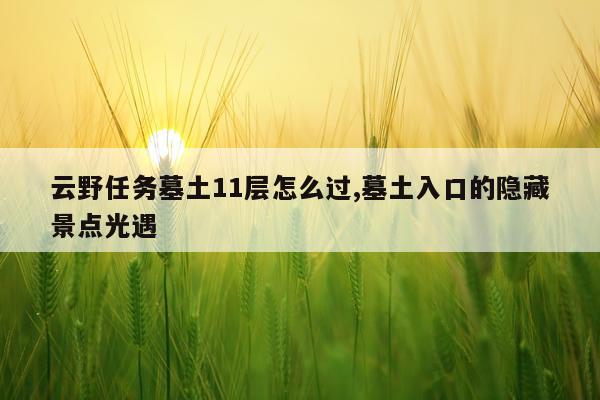 云野任务墓土11层怎么过,墓土入口的隐藏景点光遇