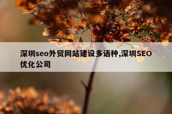 深圳seo外贸网站建设多语种,深圳SEO优化公司