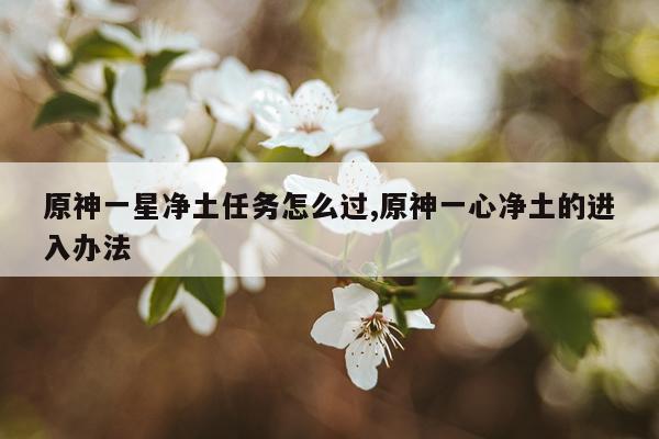 原神一星净土任务怎么过,原神一心净土的进入办法