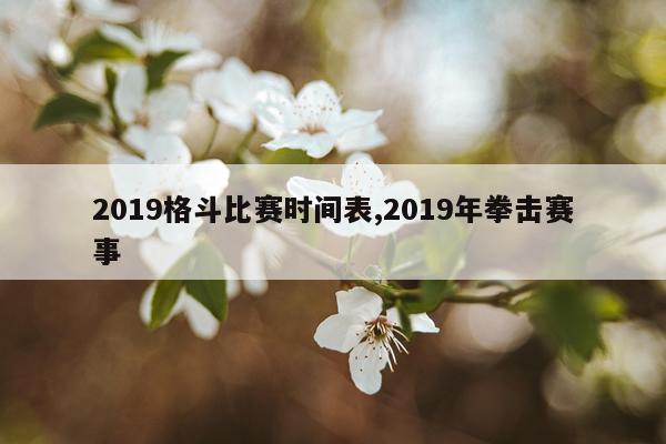 2019格斗比赛时间表,2019年拳击赛事