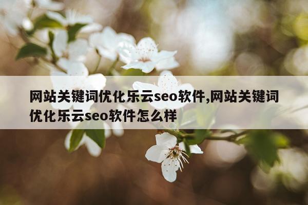 网站关键词优化乐云seo软件,网站关键词优化乐云seo软件怎么样