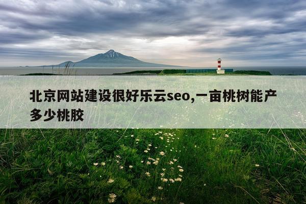 北京网站建设很好乐云seo,一亩桃树能产多少桃胶