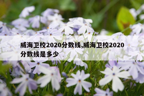 威海卫校2020分数线,威海卫校2020分数线是多少