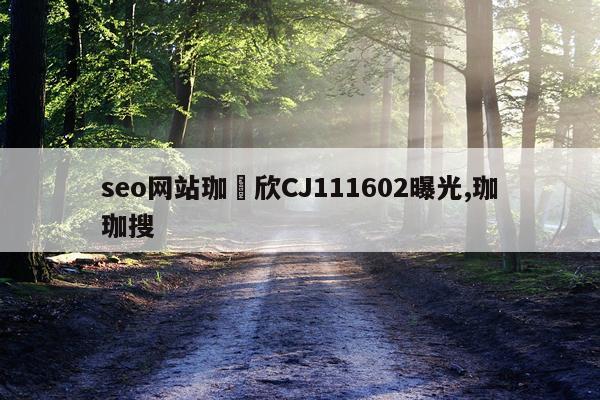 seo网站珈烓欣CJ111602曝光,珈珈搜